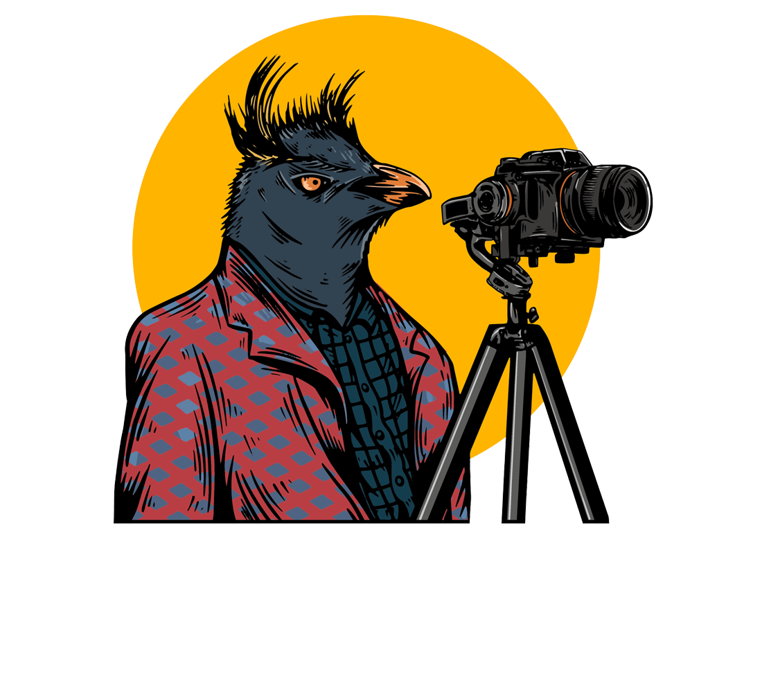 Edmund Aut Photgraphy